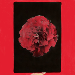 Activity - A Thousand Years In Another Way (2025)